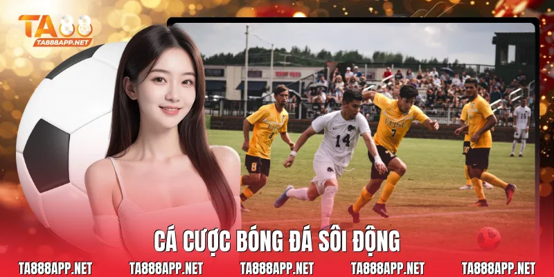 Cá cược bóng đá sôi động