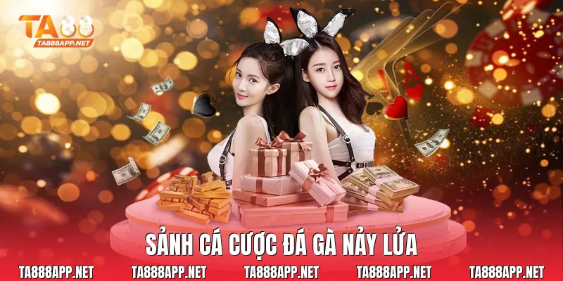 Sảnh cá cược đá gà nảy lửa